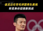 开云体育官方网站-中国羽毛球队逆转英格兰羽毛球队，谌龙统治全场的简单介绍