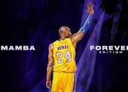 开云体育app-布克生涯之夜燃尽明尼苏达，热火淬火争冠路再添薪柴