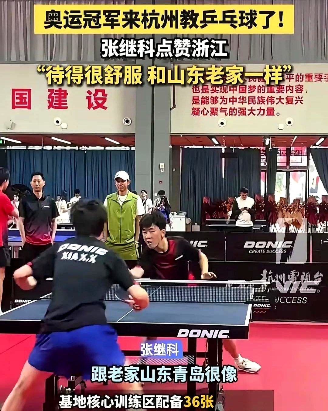 日本乒乓球队血洗英国乒乓球队，张继科三分雨点燃全场的简单介绍