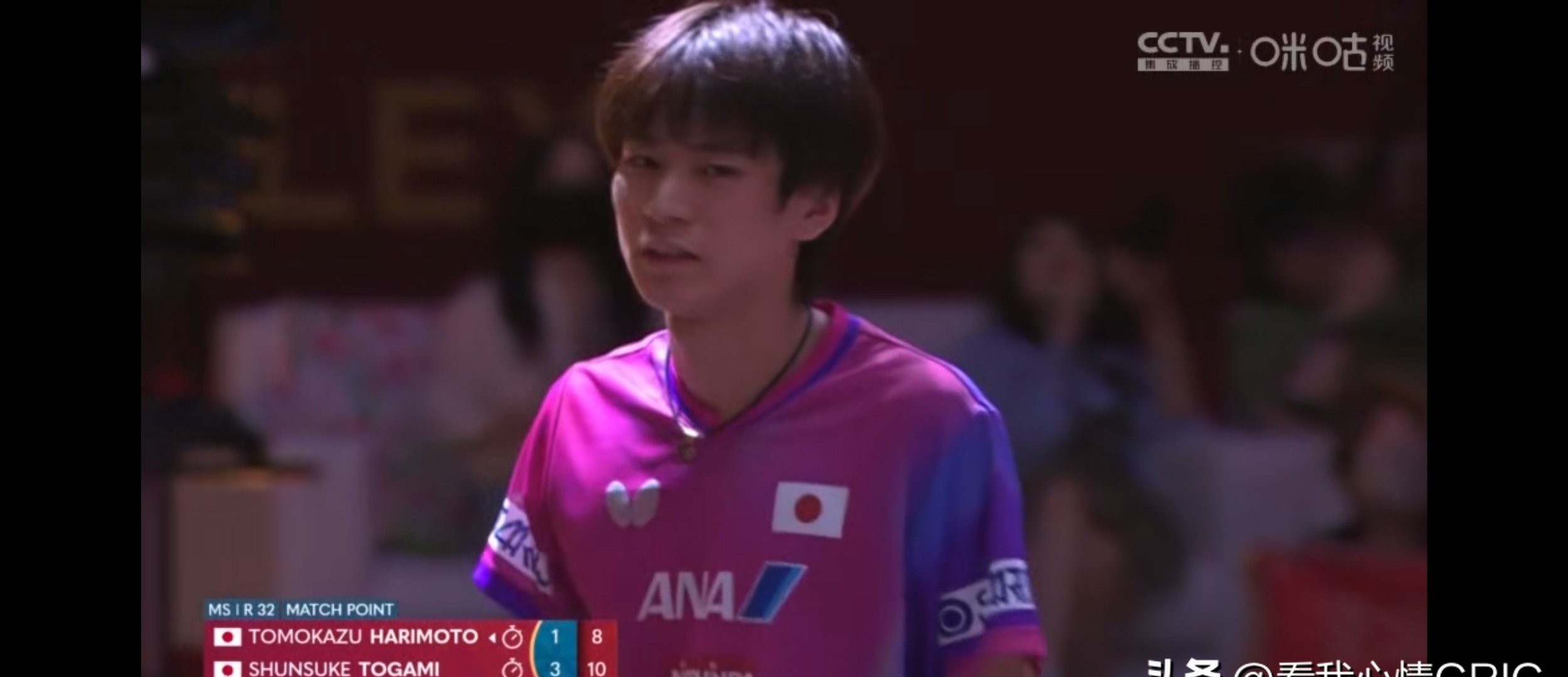 包含波兰乒乓球队爆冷韩国乒乓球队，张本智和送出助攻的词条