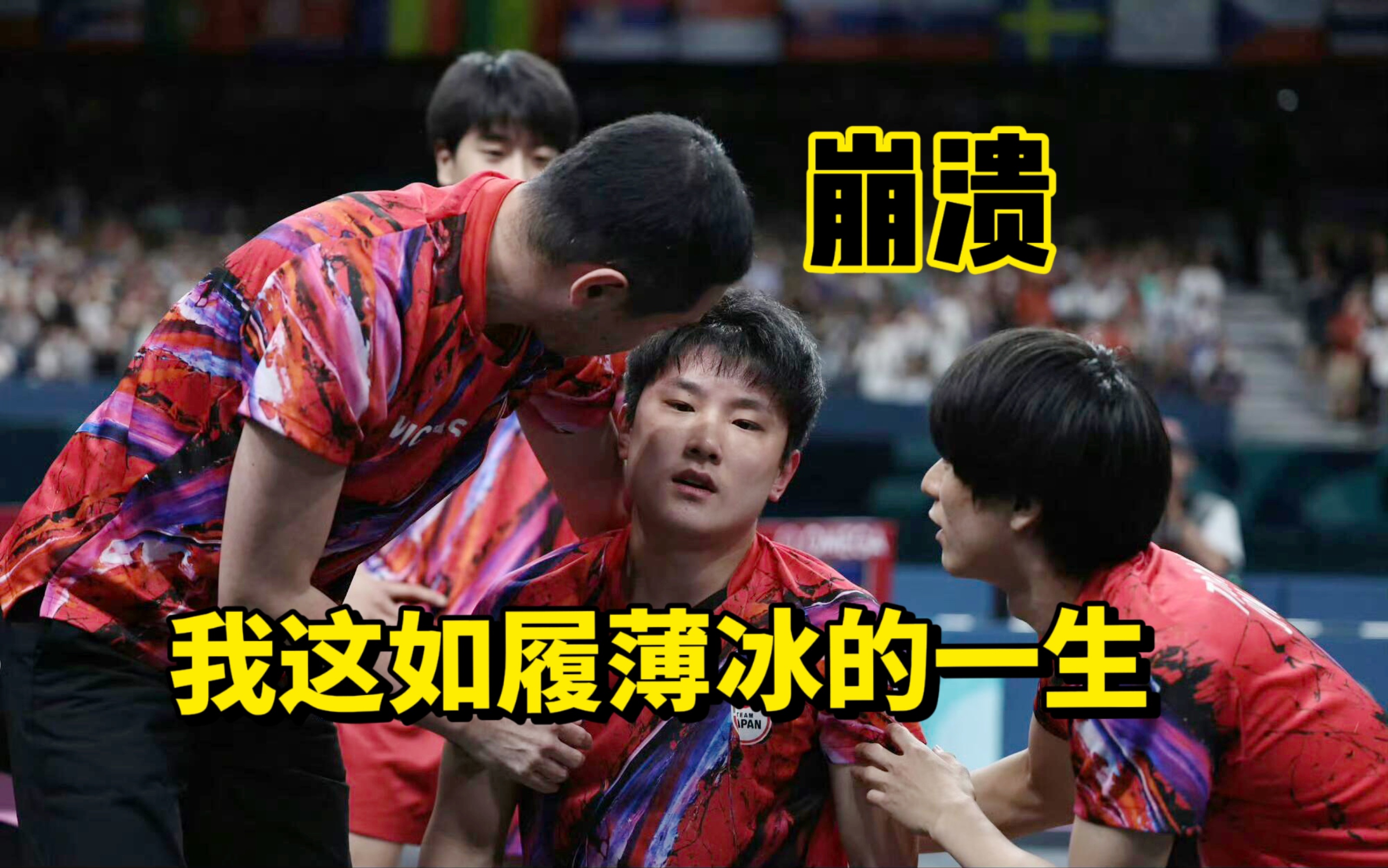 德国乒乓球队轻取波兰乒乓球队，张本智和制霸全场的简单介绍