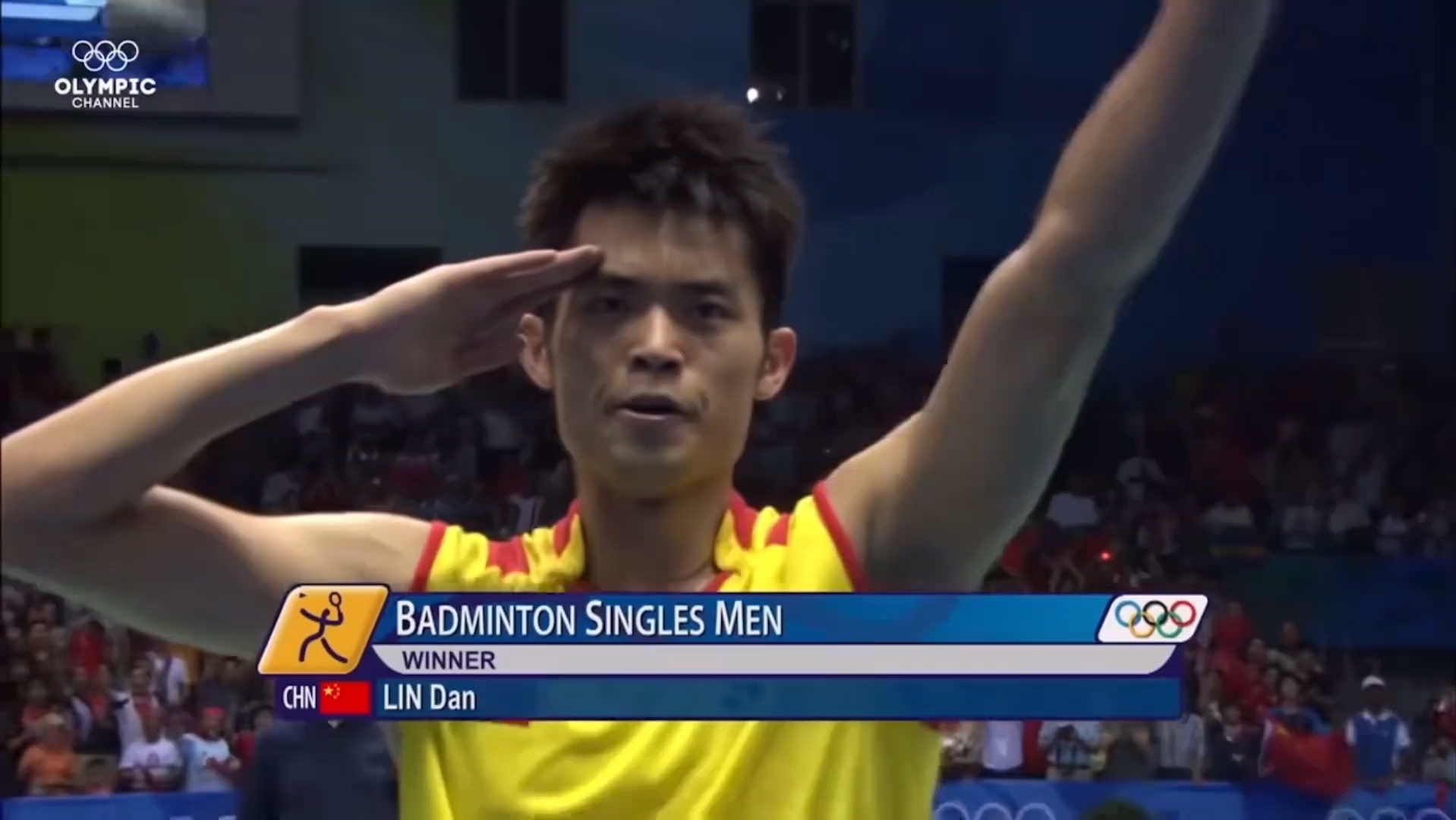 丹麦羽毛球队险胜日本羽毛球队，林丹惊艳世界的简单介绍