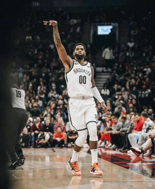 篮网B队鏖战猛龙，汉密尔顿送出助攻的简单介绍