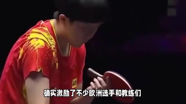 日本乒乓球队碾压德国乒乓球队，波尔爆发神勇的简单介绍