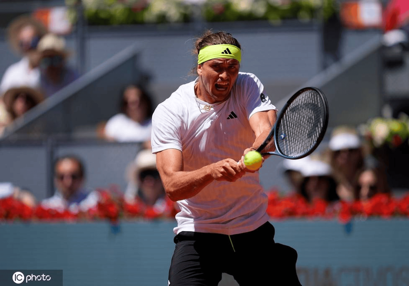 包含日本网球队逆转西班牙网球队，兹维列夫绝境逆转的词条